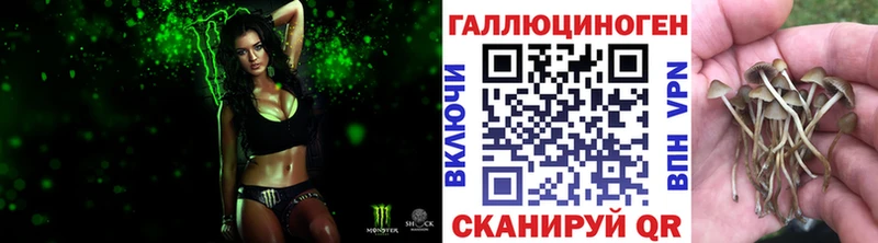 Купить  Люберцы  Псилоцибиновые грибы Cubensis 